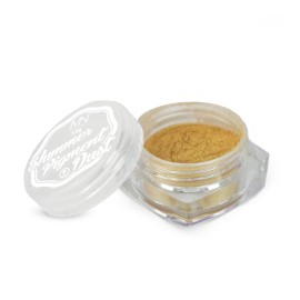 Shimmer Pigment Por - 09 - 1,5g