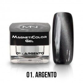MagnetiColor Gel - 01 - Argento - 4g