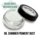 Shimmer Pigment Por - 06 - 2g