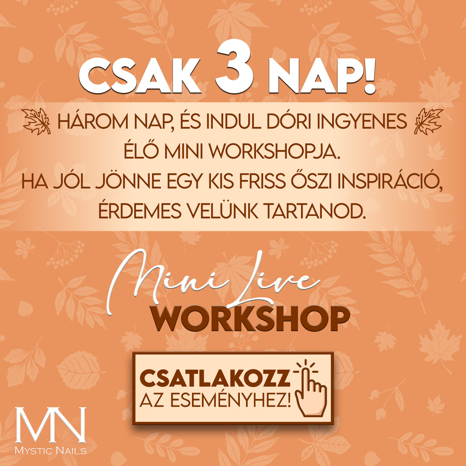 /dori_miniws_live_1012_2026-3nap